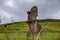 Bottom view of single moai under cloudy sky