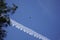 Bottom view of a soaring eagle against a blue sky. Bright sunny day. Wide wingspan