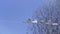 Bottom view of triangular white flags swaying in the wind. Clip. Beautiful outdoors holiday decoration on blue sky and