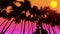 Bottom view of Young female driving motobike along palm alley, coconut palm trees in sunshine. 3d Synthwave animated