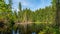 Boubin lake, primeval forest, Bohemian Forest National Park.