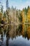 Boubin lake. Reflection of fall trees of Boubin Primeval Forest, Sumava Mountains, Czech Republic.Water reservoir located at the