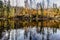 Boubin lake. Reflection of fall trees of Boubin Primeval Forest, Sumava Mountains, Czech Republic.Water reservoir located at the