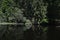 Boubinsky prales - nature trail leading through the mountains Bubino vegetation; lake and primeval forest in Shumava