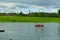 Boucherville, QC, Canada, 7-30-2021, three adults are kayaking in Lawrence Laurent River, islands of Boucherville national