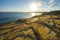 Bouddi national park