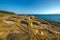 Bouddi national park