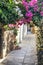 The bougainvillea and antique road in the Turkey