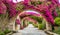 Bougainvillea Archway: A Colorful and Inviting Floral Canopy. Flowers Background