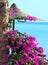 Bougainvillea and beach umbrella