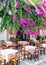 Bougainvillea flower and taverna, Greece