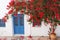 Bougainvillea flowered on the facade of a house typical of Nijar, Andalusia, Spain