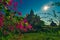 Bougainvillea flowers and beautiful Stupa Bagan Myanmar