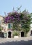 Bougainvillea Flowers at Sirmione Town