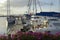 Bougainvillea in front of the docks at the Virgin Gorda Yacht Harbour, Spanish Town, Virgin Gorda, BVI