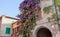 bougainvillea in front of a house in Sirmione