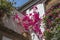 Bougainvillea and geranium decorate the walls of the house in Cordoba, Spain, 05/08/2017