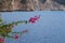 Bougainvillea pink flowers over the fantastic azure sea water of greek island