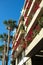 Bougainvilleas blooming on balconies