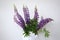 A bouguet of bright purple lupins stands in a white vase
