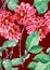 Bouguet red dahlia, watercolor, pattern seamless