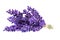 Bouguet of violet lavendula flowers isolated on white background