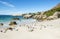 Boulder Beach with Jackass Penguins, South Africa