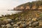 Boulder Beach & Otter Cliffs