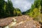 Boulder creek in Mount Baker Snoqualmie National Forest, Washington