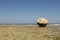 Boulder on deserted beach