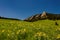 Boulder Flatirons in Boulder, Colorado