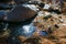 Boulder - Large rocks are swept down the mountains by seasonal streams amid tall ponderosa pines