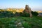 The boulder moorstone on the high mountain meadow