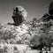 Boulder Sonora Desert Arizona