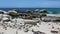 Boulders and algae are scattered on the sandy beach of the Atlantic Ocean