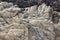 Boulders along China Rock, 17 Mile Drive, California, USA