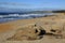 Boulders along the New Zealand coastline