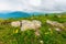 boulders on the alpine hillside. view from the edge of a hill.