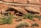 Boulders at Arches