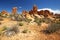 Boulders in an arid terrain, Arches National Park