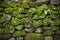 The boulders covered by green moss. Background.