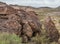 Boulders Covered With Petroglyph Symbols