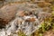 boulders in creek with water cascading over