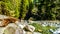 Boulders in the crystal clear water of Cascade Creek right after the falls in Cascade Falls Regional Park, British Columbia Canada