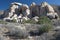 Boulders in desert