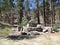 Boulders in the Forest near Big Bear Lake