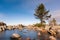 Boulders on Lake Tahoe with pine tree at night