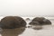 Boulders at moeraki in New Zealand