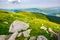 Boulders on the mountain meadow