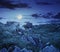 Boulders on the mountain meadow with dandelions at night